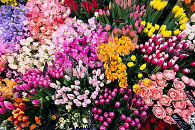 《帝国神话》Steam下架原因公告：被指控侵权暂时下架